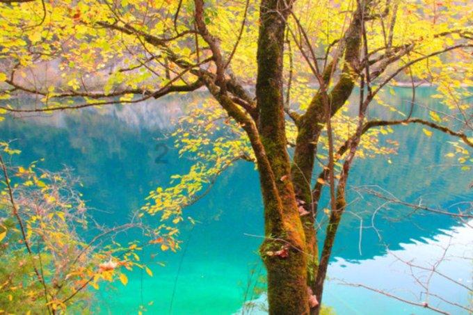 山西一位村民哽咽回忆村庄被淹，这场暴雨给当地村民造成了哪些伤害？游戏画面