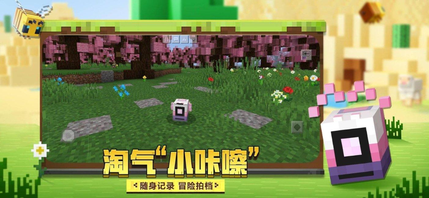 路飞大冒险